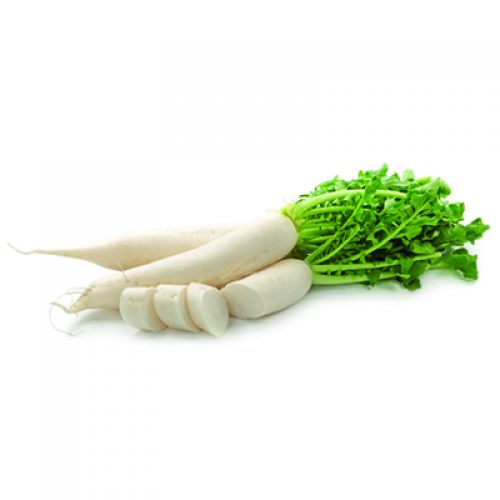  White Carrot 