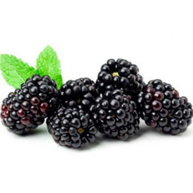 Blackberry