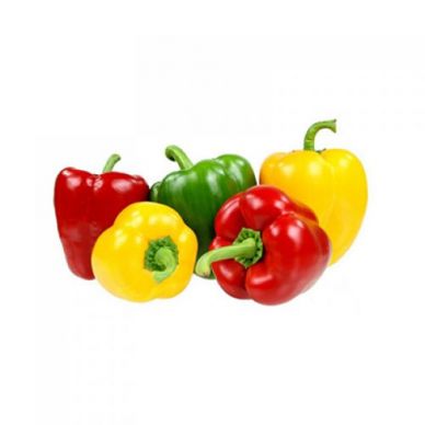 (Baby Capsicum mix (Red, Yellow, Green